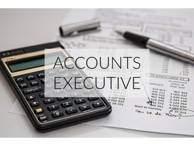 Course Details: Accounts Executive