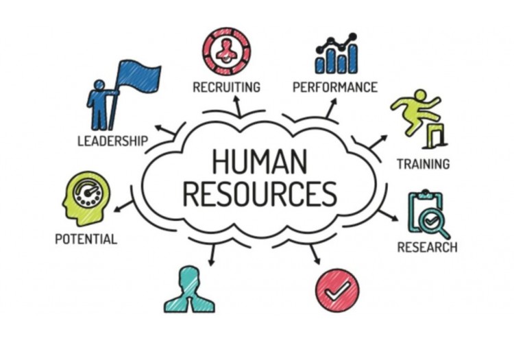 Blog Skills You Need To Know In Human Resource Management